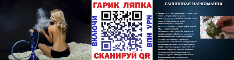 наркота  Сокол  Гашиш индика сатива 