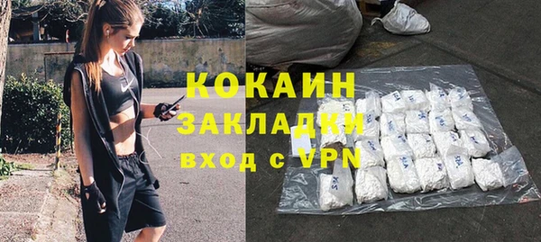 твердый Новозыбков