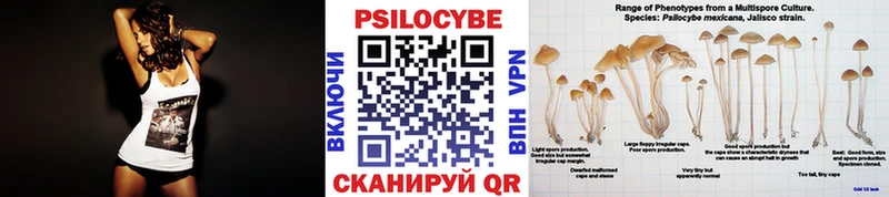 Галлюциногенные грибы GOLDEN TEACHER  hydra сайт  Сокол 